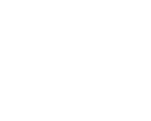 mg motor